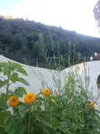Kangba Zangyi · Garden Hotel (Yajiang 318 National Highway) - Gym