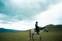 Daocheng Yading Chujian Art Hotel
