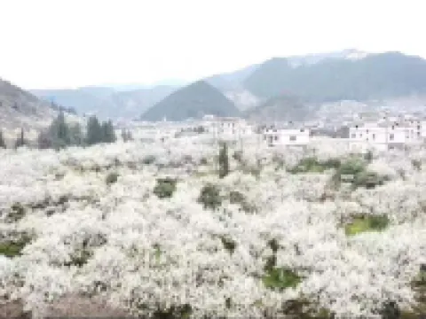 Luyuan Hotel Along the River Hotels in Yanhe
