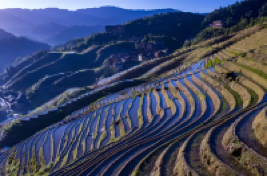 Qingfeng Yazhu Homestay