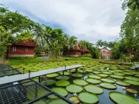 Ma Doo Bua Stay Hotels near Bang Tao Beach