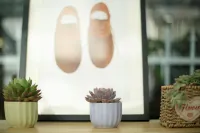 Seven Seconds Time Capsule Youth Hostel