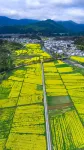 Hi Inn (Shangrao Wuyuan Cultural Plaza Scenic Bridge) - فطور