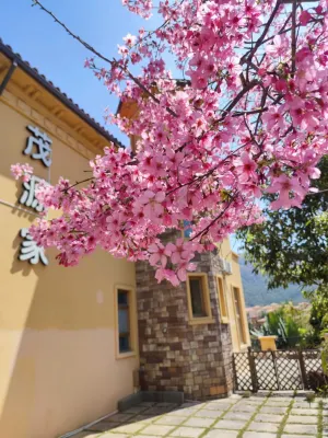 MAOYUAN VILLA