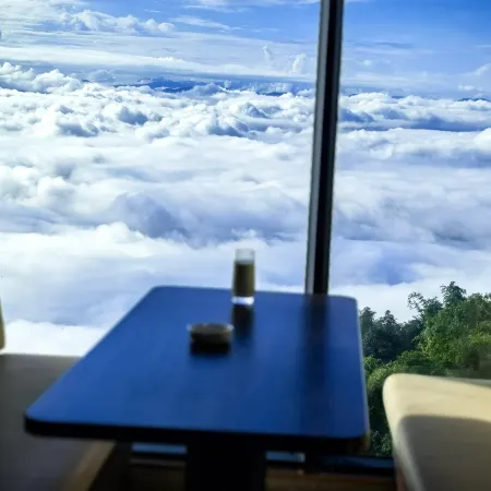 Listen to Ziyun. Yunshang Shiwai Hotel