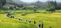 Mingshi Mountain Lodge - Mountain view