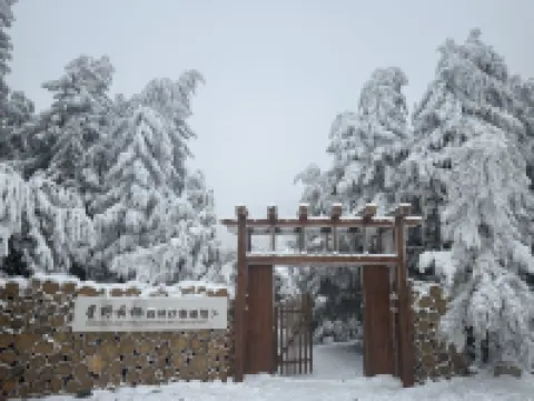 Xingye Yunqi Homestay Hotels near Chongqing Xiannvshan Airport