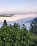 Yunqi Qiupu Homestay