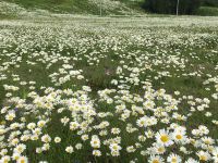 万科松花湖青山Jenny雪景公寓 - 花园