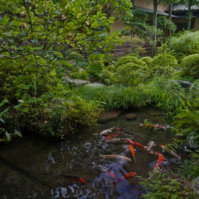 ホテル周辺 箱根湯本温泉 吉池旅館の写真