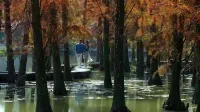 Green Land Mountain Villa Green Spring Hotel Hotels in Raoping