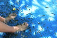 Four Seasons Ocean Courtyard Hotel Sanya - romantici