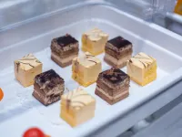 Vienna Hotel (Cangzhou Binjiang Wuyue Plaza)