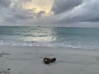 ViluVeli Holiday Retreat Hotel a Nolhivaranfaru