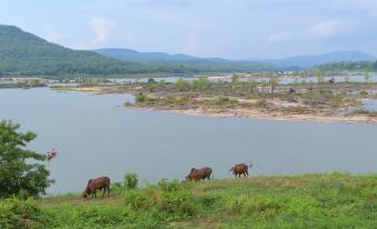 three cows are grazing on a grassy hillside near a body of water , with mountains in the background at Baan Kieng Tawan