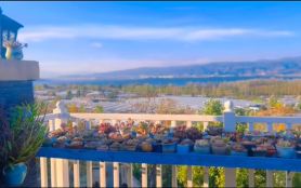 Memory · Huajian