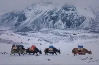 Wangsheng Oxygen-enriched Hotel
