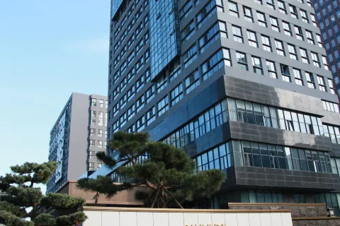Cheery Dragon Hotel Weihai Jiuzi holds