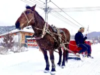 Snow Valley Guanlin Snow Residence Inn Hotels in 