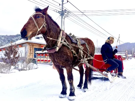 Snow Valley Guanlin Snow Residence Inn Отели в г. Учан