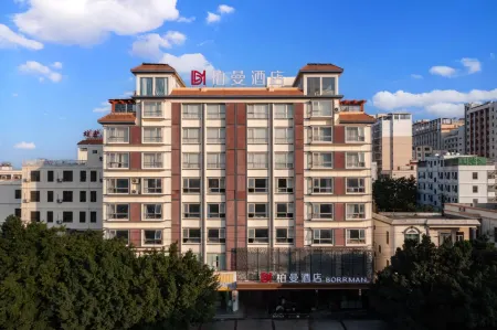 Borrman Hotel (Dongfang Cultural Plaza Railway Station)