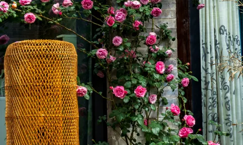 타오화 아일랜드 장후 온천 홈스테이 호텔 (신저우 고대 도시 지점)