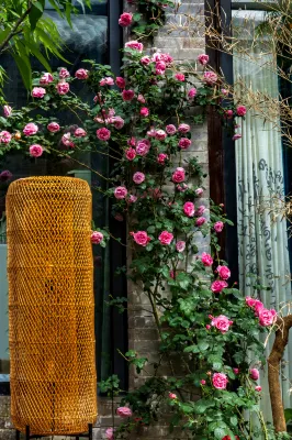 Taohua Island Jianghu Hot Spring Homestay Hotel (Xinzhou Ancient City Branch) Hotels near Xinzhou Ancient City