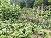Yunli Nuanju Homestay (Niucao Mountain Scenic Area) - Homestays