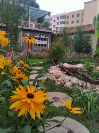 A Guest House Отели в г. Лайюань