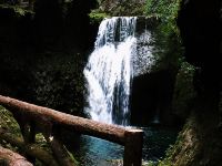 青城后山濯澜山庄 - 酒店附近