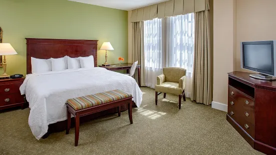 Hampton Inn & Suites Birmingham-Downtown-Tutwiler