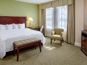 Hampton Inn & Suites Birmingham-Downtown-Tutwiler