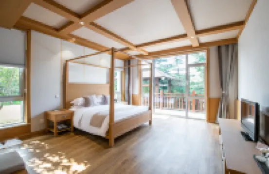 Tai'an Forest Hot Spring Resort Hotel - Hot Springs