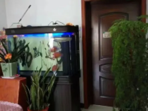 Spring Festival Homestay โรงแรมในเจียนผิง