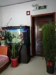 Spring Festival Homestay