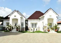 Castle de White Hotele w: 