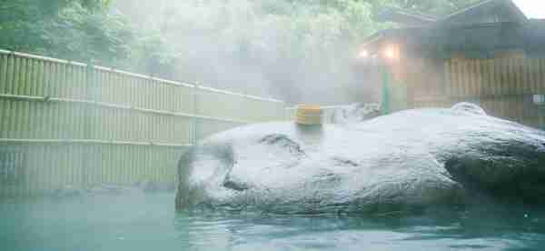 Hot spring Hotels