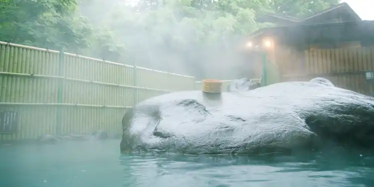 Hot Springs Hotels
