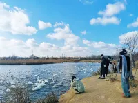 HorizonHaven • Azure Aroma