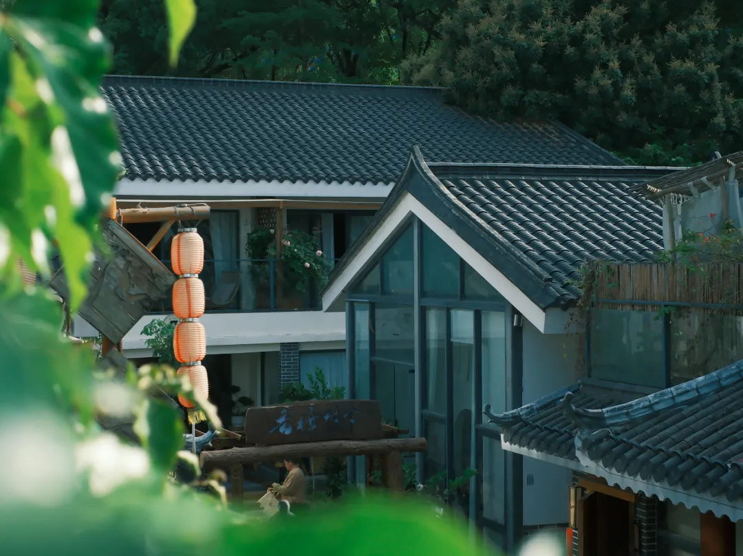 Under The Camphor Tree Guesthouse - 深セン