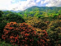 广州你我旅行之家度假别墅(温泉大道云星路分店) - 标准温泉六室一厅套房