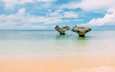 ホテル周辺 ホテルリゾネックス名護の写真