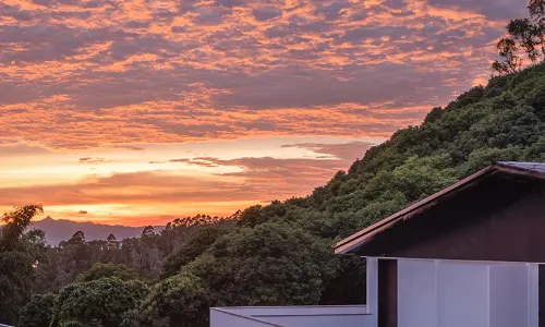 Sanyea · Shenzhen Bu Ruolin Resort B&B