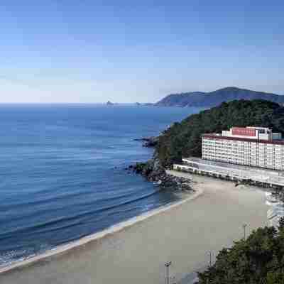 釜山威斯汀朝昕飯店 Hotel Exterior