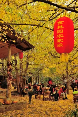 Jinlinyuan Farmhouse, Yinxing Village, Tengchong Hotels in Ginkgo Village