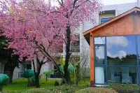 Lakeview Hotel Hotels in Kunming