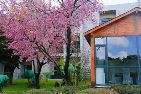 Lakeview Hotel Отели рядом с достопримечательностью «Kunming Xishan Scenic Resort»