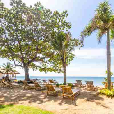 ลันตา พาเลซ บีช รีสอร์ท แอนด์ สปา Hotel Exterior