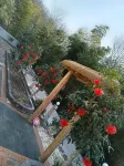 Hundred Flowers Longing for Homestay - Kitchens