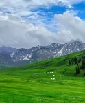 Nilka County Xiaoyeshan Ju Homestay